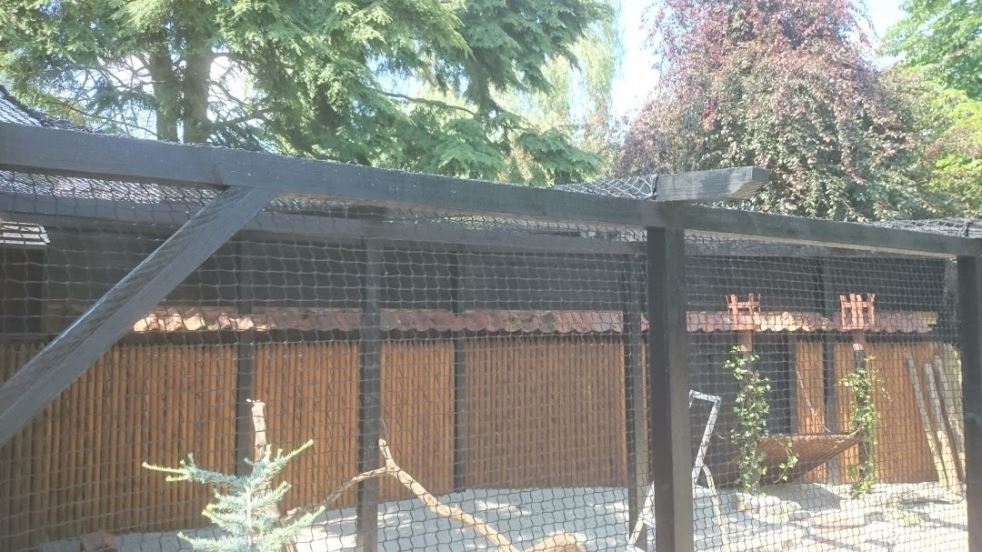 Aviary nets by Van Dijk for the safety of your birds